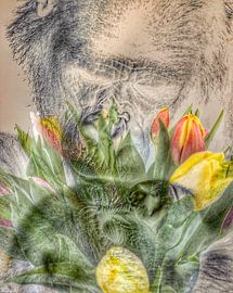 Gorilla "Lebewohl" von Truckpowerr