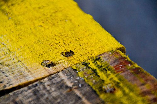 Detail aangespoelde pallet op Maasvlakte strand