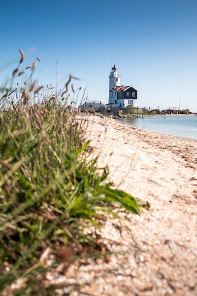 Horse of Marken by Melissa Peltenburg