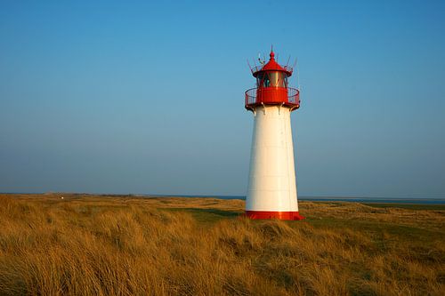 Lighthouse at the elbow