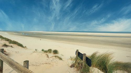 Ameland