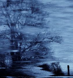 IJzig blauw by Lilian Huijben