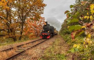 Miljoenenlijntje in herfstkleuren sur John Kreukniet