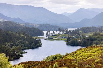Glen Affric, een verborgen parel in Schotland