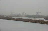 windmolens langs de kinderdijk in de mist van Brian Morgan thumbnail