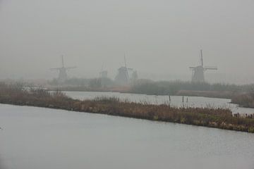windmolens langs de kinderdijk in de mist