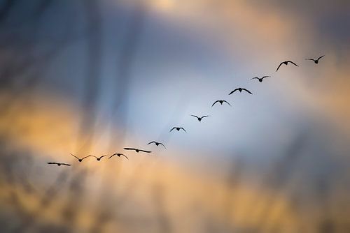 Der Winter ist im Anmarsch