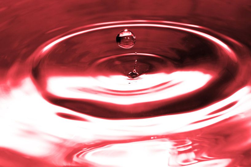 Drop photography by Frank Herrmann