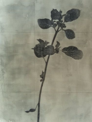 Stilleven van een plant in Japandi stijl