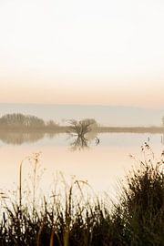Mysterious Friesland by Lydia