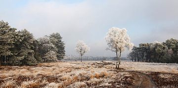 Winters landschap van Jan Katsman