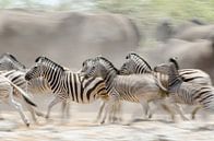 Onrust bij de drinkplaats, Zebra's en Olifanten van Jeroen Kleverwal thumbnail