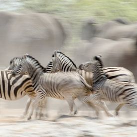 Unruhe an der Wasserstelle, Zebras und Elefanten von Jeroen Kleverwal