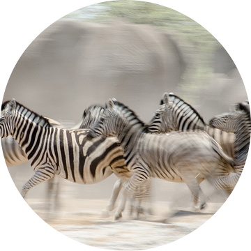 Onrust bij de drinkplaats, Zebra's en Olifanten van Jeroen Kleverwal