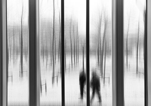 terug naar Rotterdam