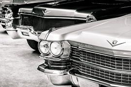 Die Oldtimer-Cadillacs von Martin Bergsma