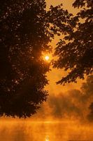 Morgenlicht am Fluss