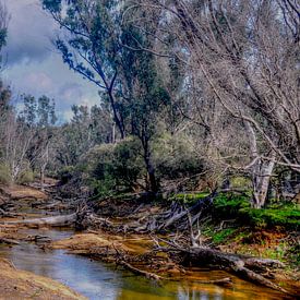 River Draught von Hans Peter Goepel