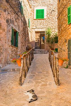 Idyllisch uitzicht op Valldemossa op het eiland Mallorca, Spanje van Alex Winter