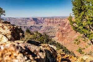 Der Grand Canyon - Arizona