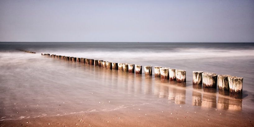 Ameland van Andre Struik