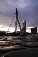 Erasmus Bridge & Salmon Harbour Tower