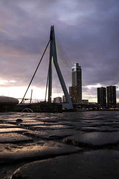 Erasmus Bridge &amp; Salmon Harbour Tower by SVPhotography