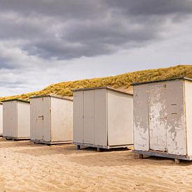 Alle in einer Reihe. von Robby's fotografie