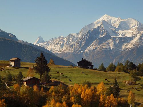 Blick auf Walliser Alpen von Visperterminen