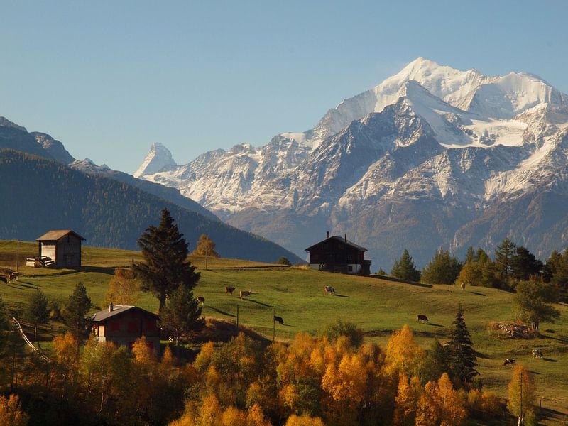 Blick auf Walliser Alpen von Visperterminen von Menno Boermans