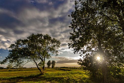 Sonnenuntergang im Den Haager Beemdenbos