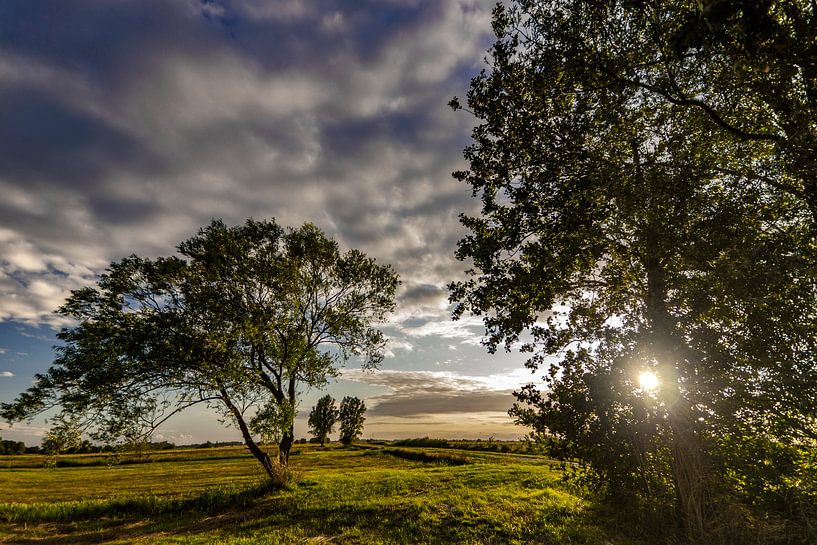 Sonnenuntergang im Den Haager Beemdenbos von Cees van Gastel