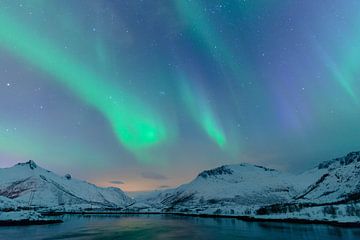 Northern Lights over the Lofoten Islands in Norway by Sjoerd van der Wal Photography