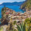 Uitzicht op Vernazza, Cinque Terre in Italië van Tux Photography