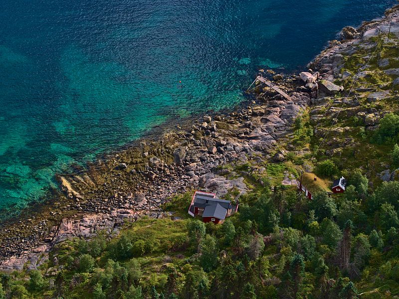 Small red house on the coast of Lofoten, Norway from bird's eye view by Timon Schneider