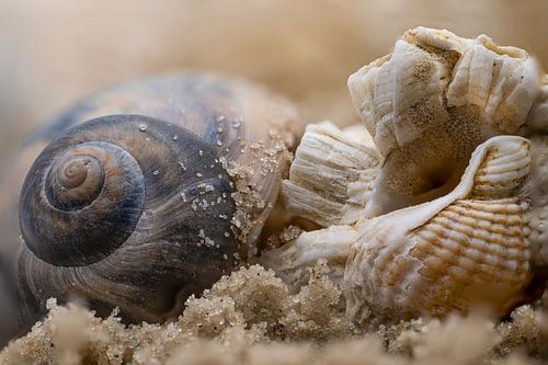 Überreste des Meeres