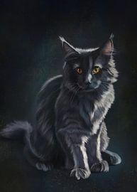 Black cat in spotlight by W. Vos
