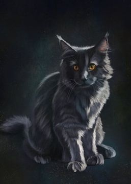Zwarte kat in spotlight van W. Vos