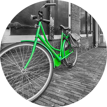 Groene fiets van Peter Bartelings