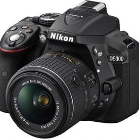 Harrie Dusseljee Profile picture