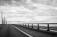 The road to freedom... van Linda Hutten thumbnail