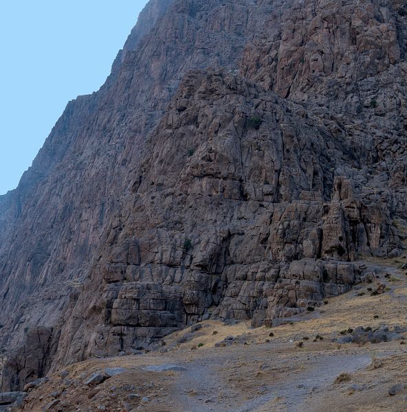 Iran: Behistun Inscription (Kermanshah) van Maarten Verhees