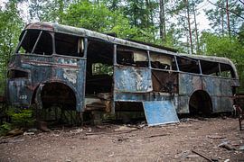 Geroeste bus in Zweden van Leontien Adriaanse