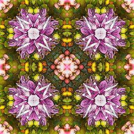 Magnolia Quartet by Frans Blok - photos, art and other wall decoration