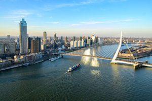 Blick auf die Skyline von Rotterdam an der Neuen Maas mit der Erasmusbrug