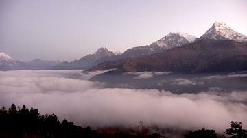 'Roze wolk', Poon hill- Nepal sur Martine Joanne