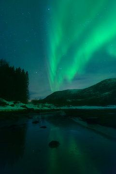 Nordlichter über der Küste des Vesteralen in Norwegen während der Wintermonate von Sjoerd van der Wal