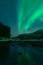 Nordlichter über der Küste des Vesteralen in Norwegen während der Wintermonate von Sjoerd van der Wal Fotografie Miniaturansicht