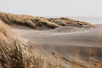 Winter beach walks #1