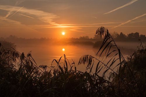 A Golden sunrise above the Dutch Rhine